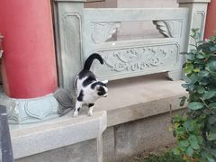 -高旻寺