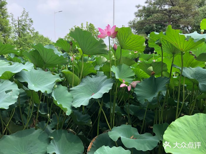 京杭运河积水潭港碑图片 