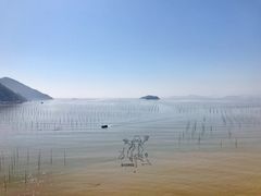 -北岐滩涂