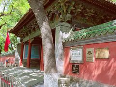 -北京国子监胡同