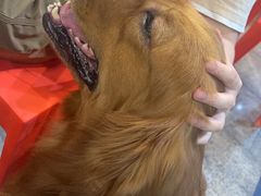 -回头烧烤(悦荟购物中心店)