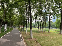 -后襄河公园