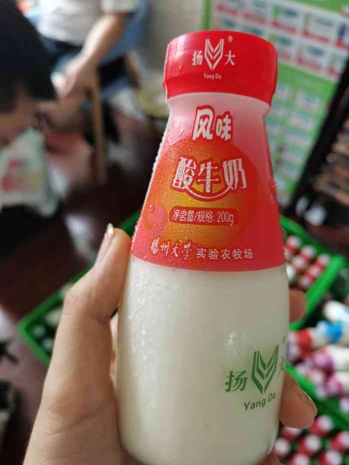 扬大牛奶品种图片