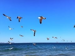 -烟台百纳瑞汀酒店