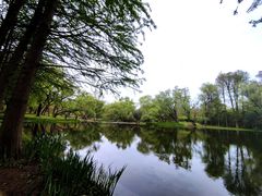 -上海共青森林公园