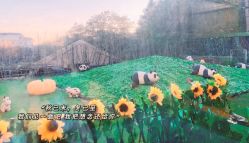 -卓玥国际月子会所(罗山路店)