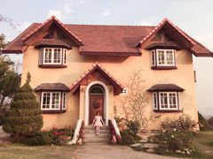 -黄色小屋