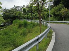 -火炉山森林公园