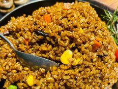 焖饭-回到森林计划
