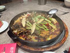 -老板恋上鱼(恒隆广场店)