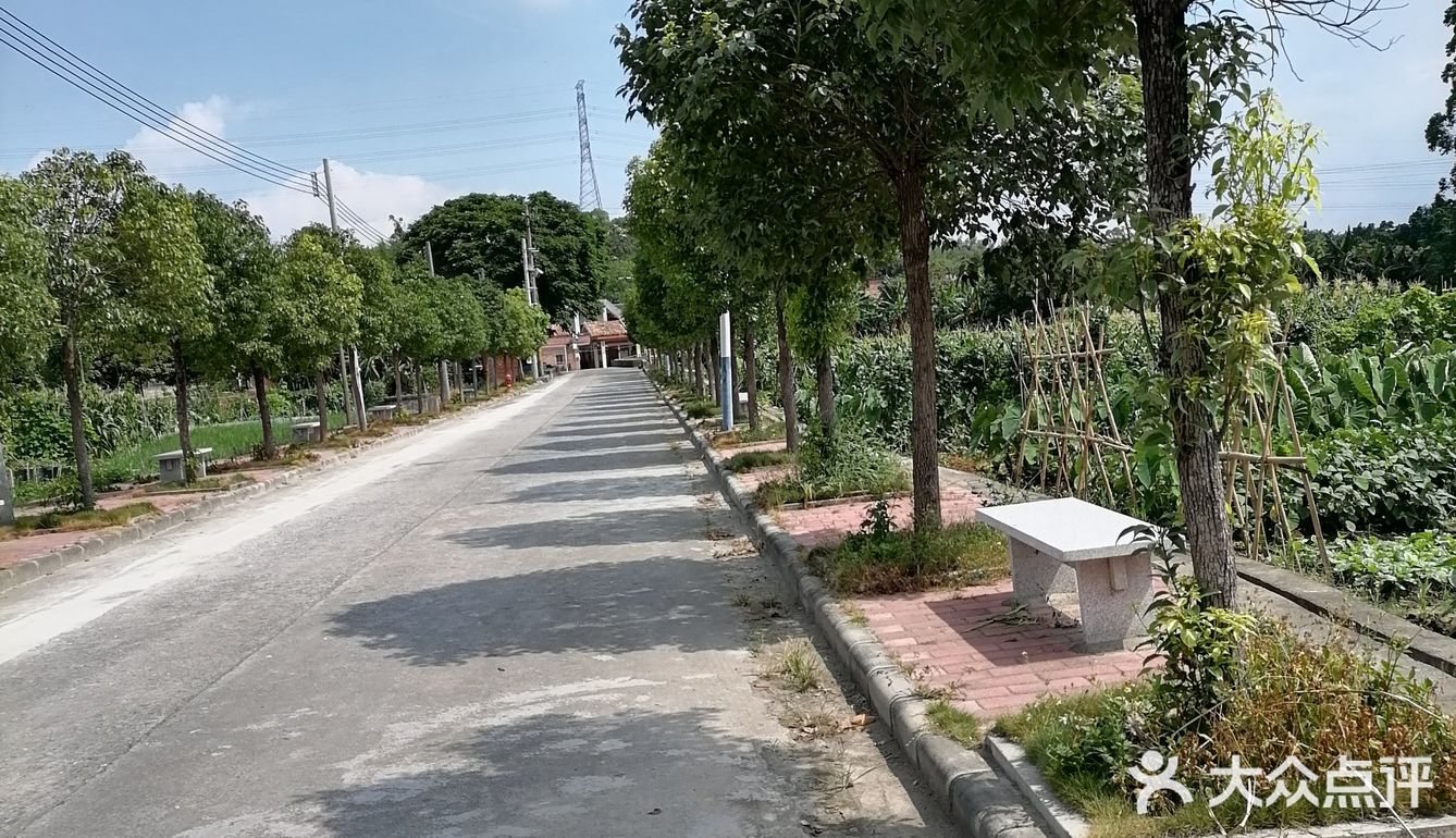到花都炭步乡村游观后感！
