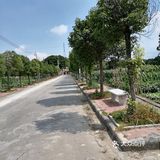到花都炭步乡村游观后感！