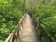 -鬼笑石后山停车场