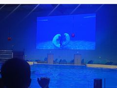 -石家庄极地海洋世界