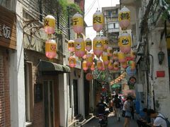 -猫咪博物馆(顶澳仔猫街店)