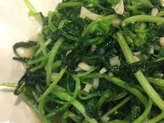 -文三里屯面馆(三里屯店)