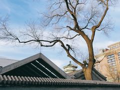 -菖蒲河公园