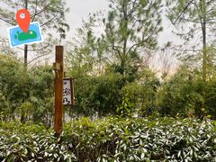 -云幽谷旅游区