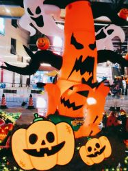 -酷嗒动物文化乐园(cutezoo西溪乐天城店)