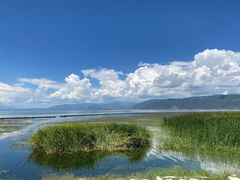 -大理洱海