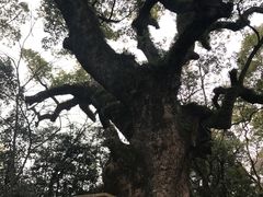 -热田神宫
