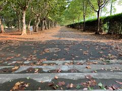 -华东政法大学(松江校区)