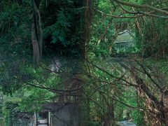 -燕晗山郊野公园