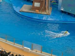 -海洋公园海洋列车－海滨站