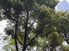 -芙蓉堂(武汉天地店)