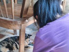 -老屋咖啡