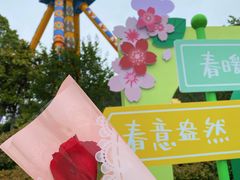 -南京银杏湖乐园