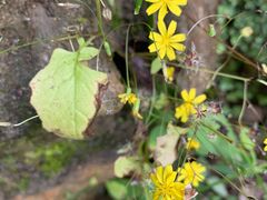 -汉中石门栈道景区