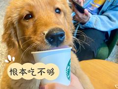 -星巴克(重庆上海城店)