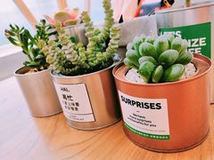 -Green Option(官舍店)
