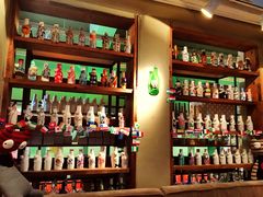 -猫咪博物馆(顶澳仔猫街店)