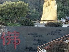 -庐山风景名胜区-东林大佛