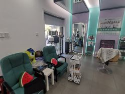 -黑奥秘脱发白发中心