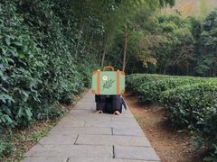 -敬亭山风景名胜区