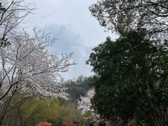 -狼山风景名胜区