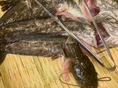 -苗岭侗寨(金阳店)