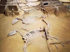 -洛阳周王城天子驾六博物馆