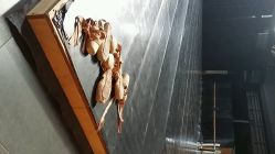 android_upload_pic-北京当代芭蕾舞团·艺术中心