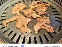 -杨记齐齐哈尔烤肉(总店)