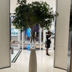 -奥斯芬欧系贵族SPA
