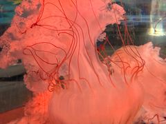 -横店影视城梦幻谷园区