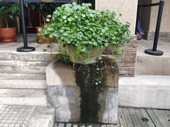 -静园(和平区)
