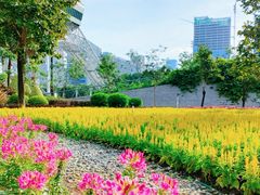 -文华公园(禅城区)
