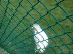 -广东茂名森林公园