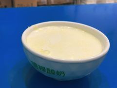 -德禄酸奶(莫家街店)