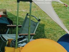 -春花秋色城市公园